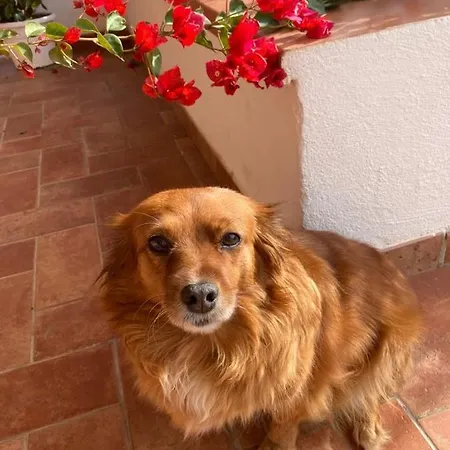 Stefania Marina di Camerota